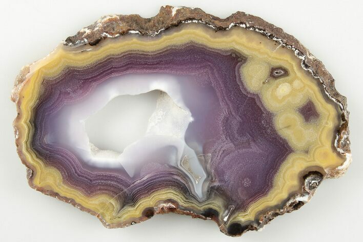 Polished Banded Agate Slice - Mexico #198183